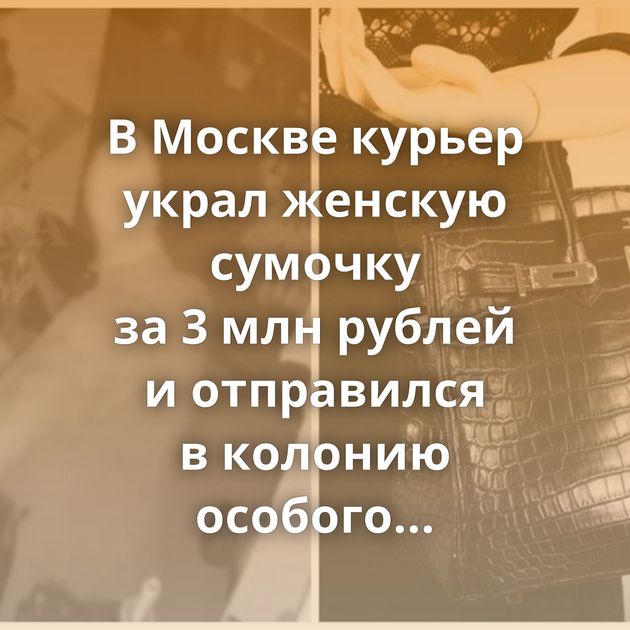 В Москве курьер украл женскую сумочку за 3 млн рублей и отправился в колонию особого режима