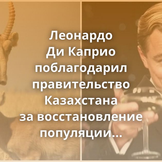 Леонардо Ди Каприо поблагодарил правительство Казахстана за восстановление популяции сайгаков
