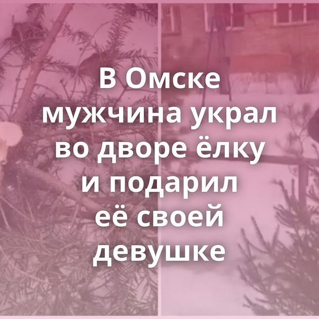 В Омске мужчина украл во дворе ёлку и подарил её своей девушке
