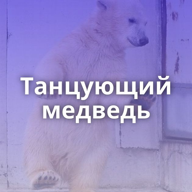 Танцующий медведь