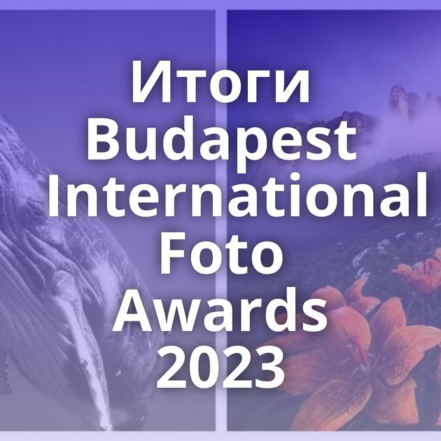 Итоги Budapest International Foto Awards 2023