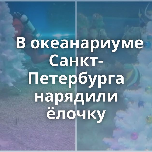 В океанариуме Санкт-Петербурга нарядили ёлочку