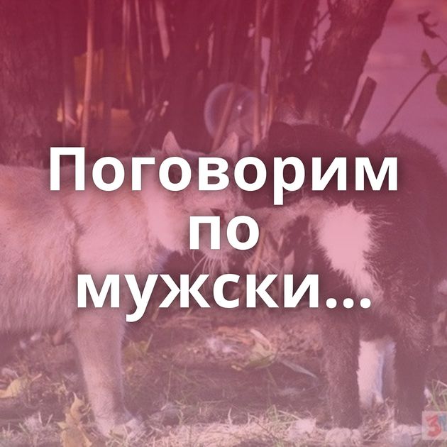 Поговорим по мужски...