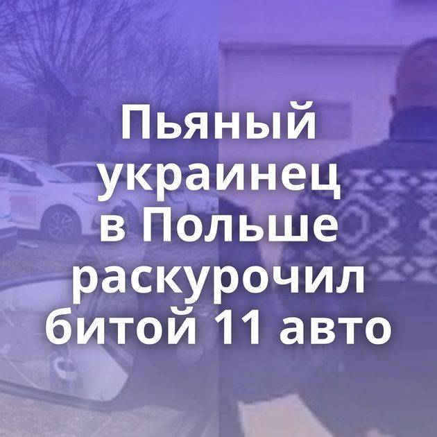 Пьяный украинец в Польше раскурочил битой 11 авто