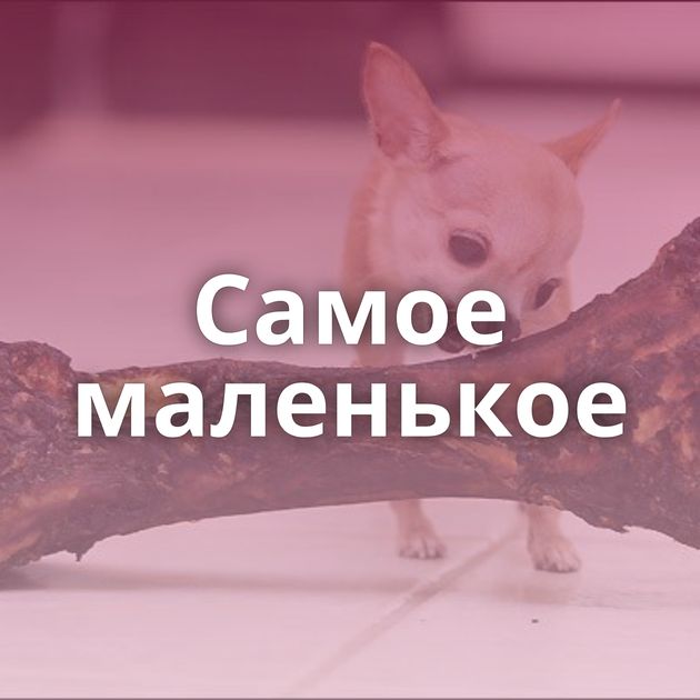 Самое маленькое