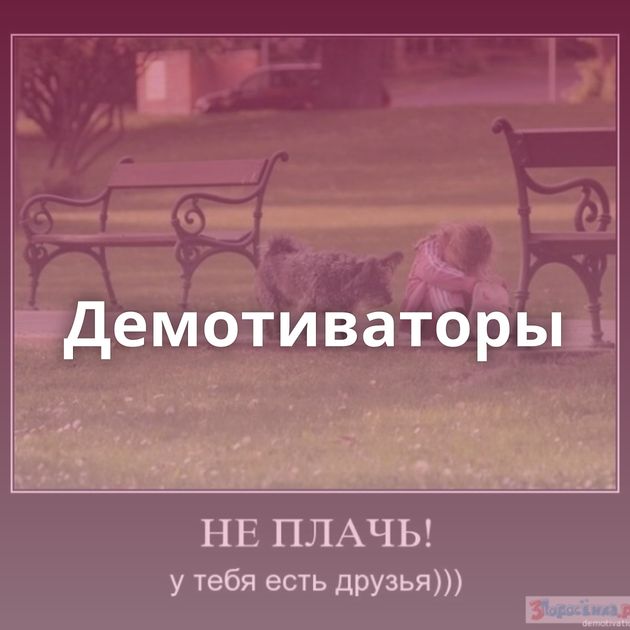 Демотиваторы