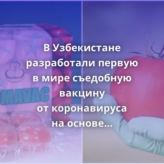 В Узбекистане разработали первую в мире съедобную вакцину от коронавируса на основе томатов