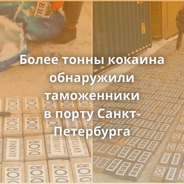 Более тонны кокаина обнаружили таможенники в порту Санкт-Петербурга