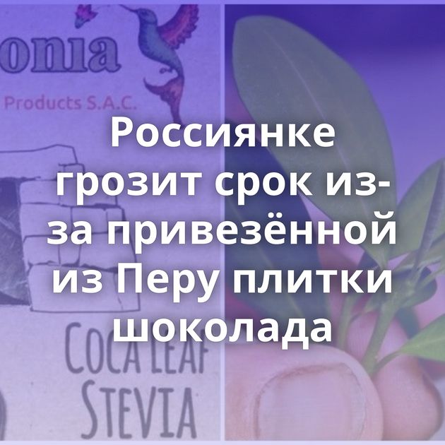 Россиянке грозит срок из-за привезённой из Перу плитки шоколада