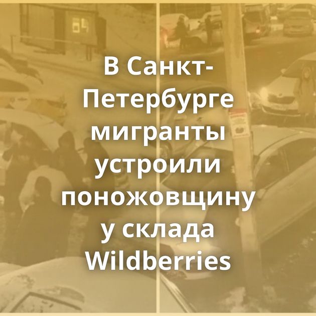 В Санкт-Петербурге мигранты устроили поножовщину у склада Wildberries