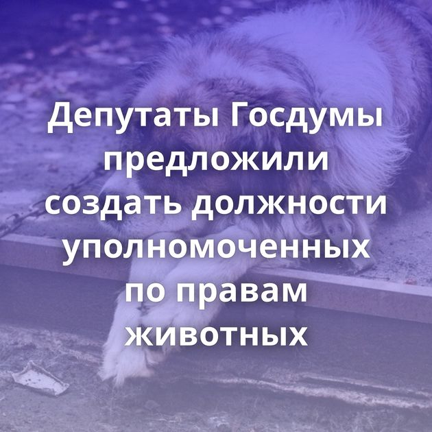 Депутаты Госдумы предложили создать должности уполномоченных по правам животных