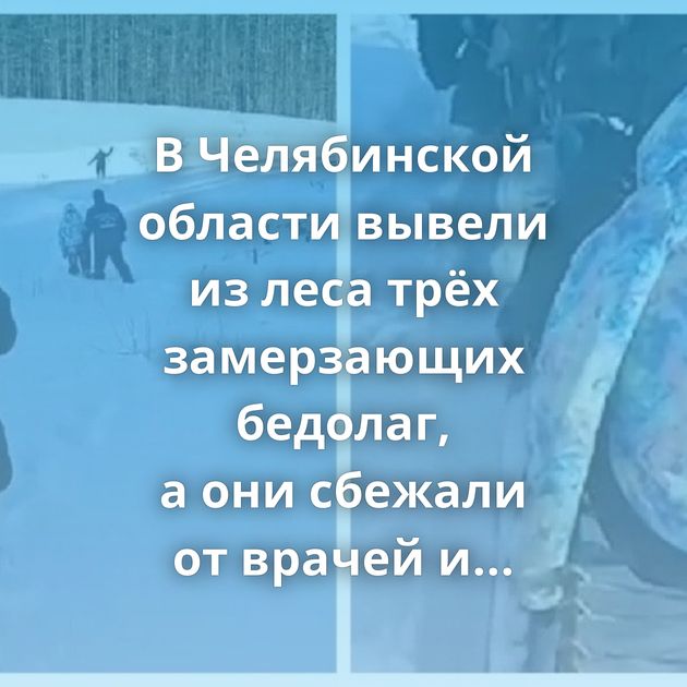 В Челябинской области вывели из леса трёх замерзающих бедолаг, а они сбежали от врачей и медиков