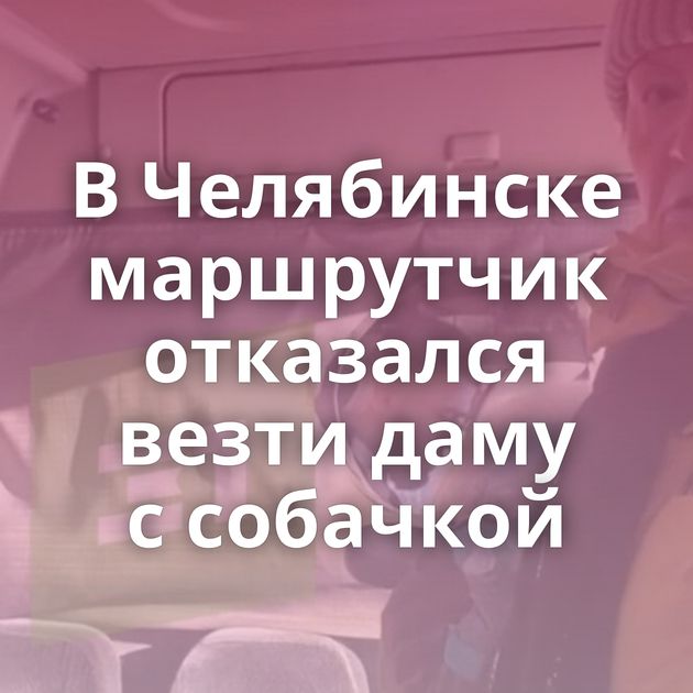 В Челябинске маршрутчик отказался везти даму с собачкой