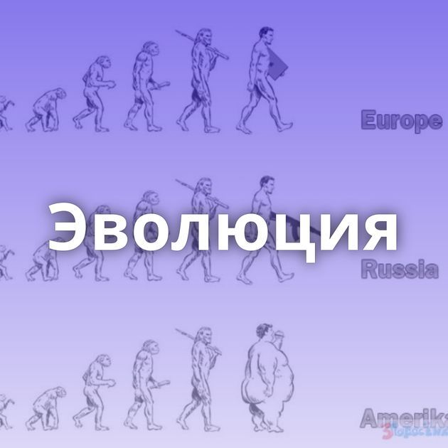 Эволюция