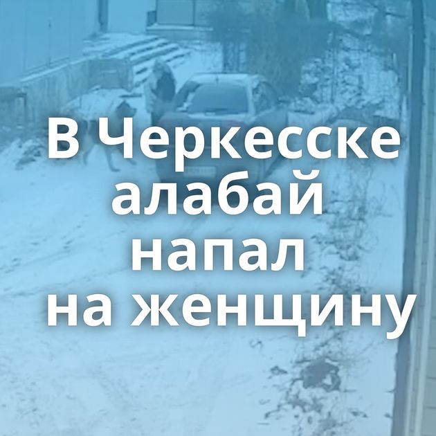 В Черкесске алабай напал на женщину