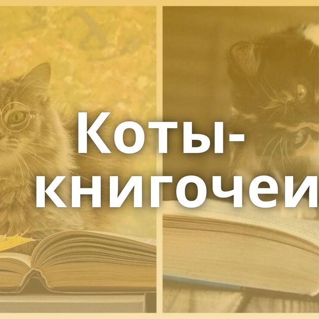Коты-книгочеи