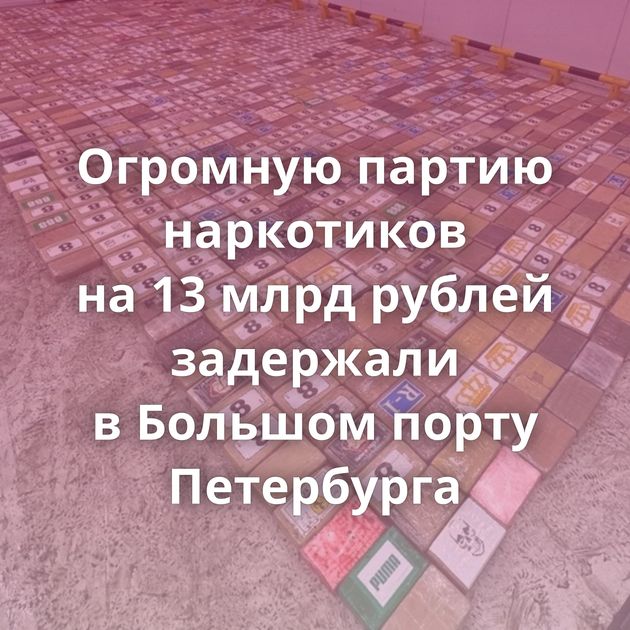 Огромную партию наркотиков на 13 млрд рублей задержали в Большом порту Петербурга