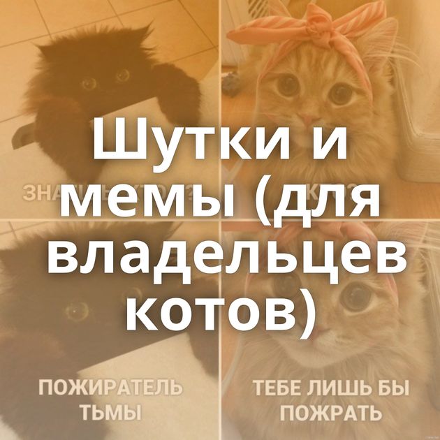 Шутки и мемы (для владельцев котов)