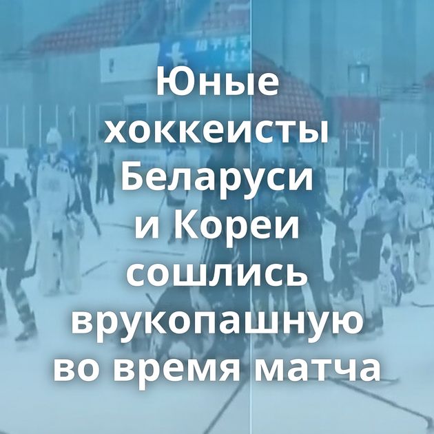 Юные хоккеисты Беларуси и Кореи сошлись врукопашную во время матча