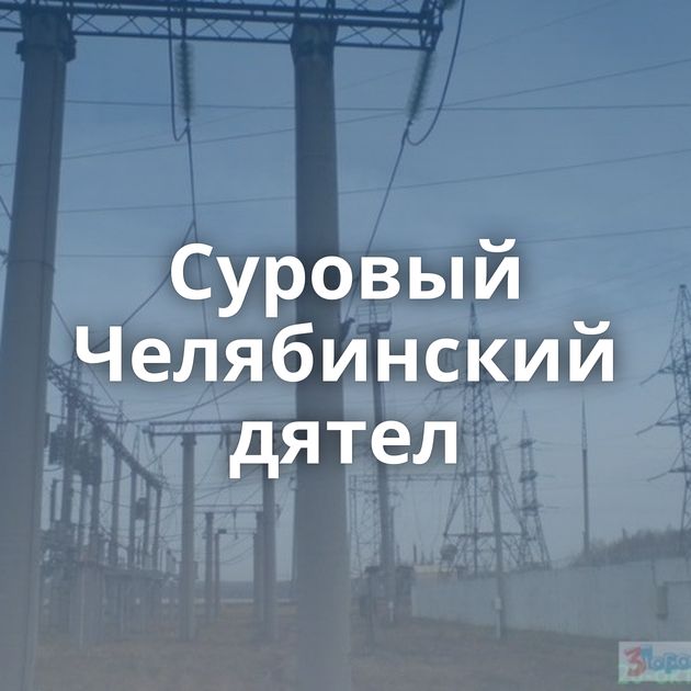 Суровый Челябинский дятел