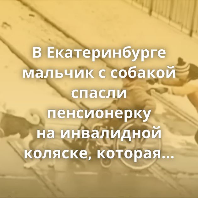В Екатеринбурге мальчик с собакой спасли пенсионерку на инвалидной коляске, которая застряла на рельсах