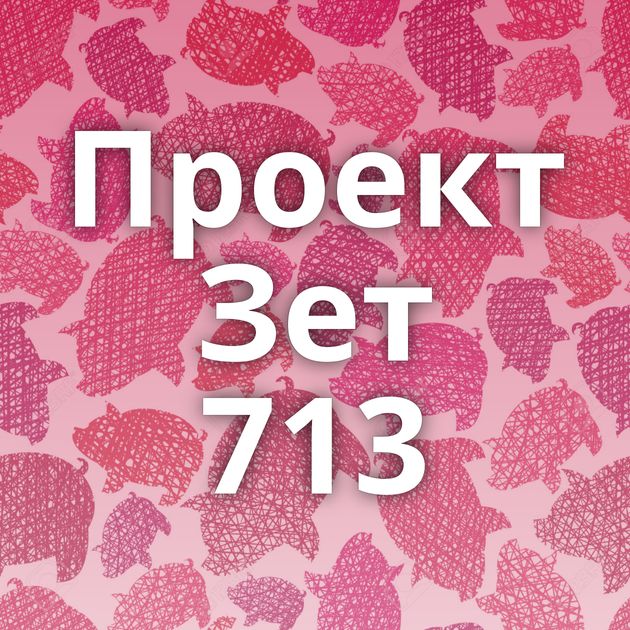 Проект Зет 713