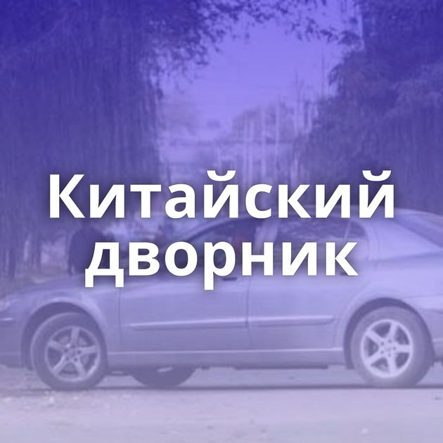 Китайский дворник