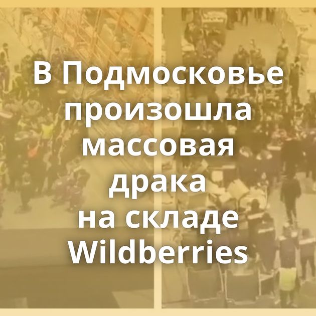 В Подмосковье произошла массовая драка на складе Wildberries