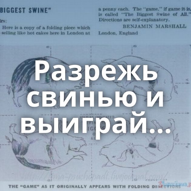 Разрежь свинью и выиграй...