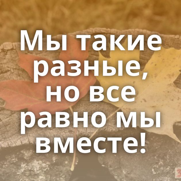 Мы такие разные, но все равно мы вместе!