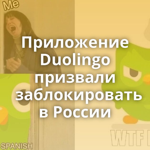 Приложение Duolingo призвали заблокировать в России