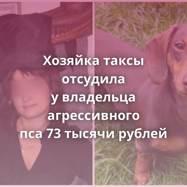 Хозяйка таксы отсудила у владельца агрессивного пса 73 тысячи рублей