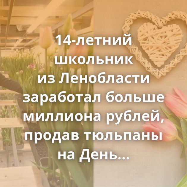 14-летний школьник из Ленобласти заработал больше миллиона рублей, продав тюльпаны на День всех влюбленных