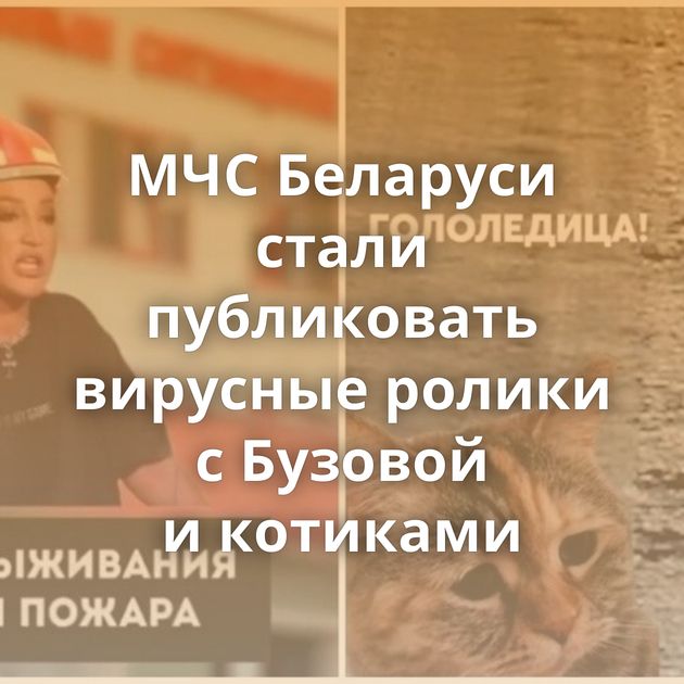 МЧС Беларуси стали публиковать вирусные ролики с Бузовой и котиками