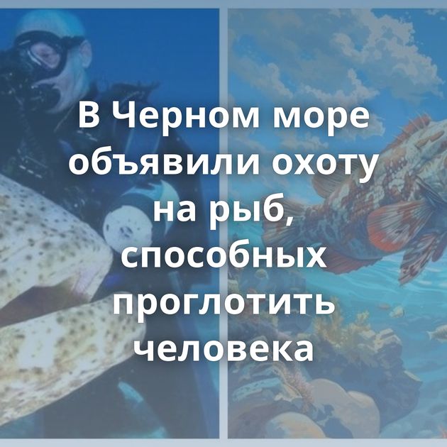 В Черном море объявили охоту на рыб, способных проглотить человека
