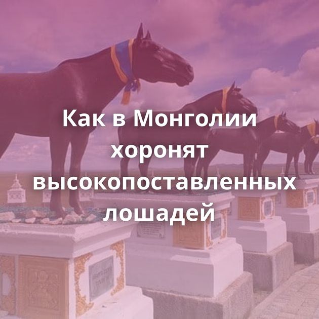 Как в Монголии хоронят высокопоставленных лошадей