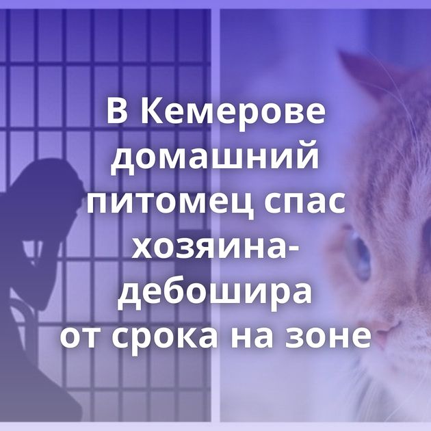 В Кемерове домашний питомец спас хозяина-дебошира от срока на зоне