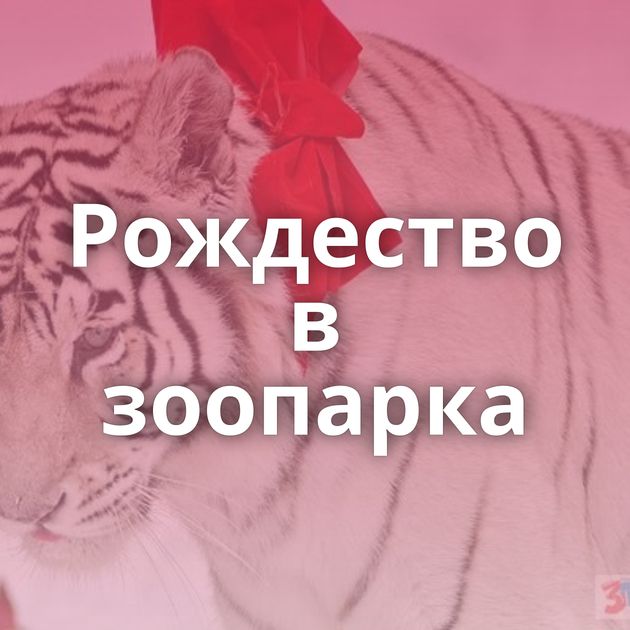 Рождество в зоопарка