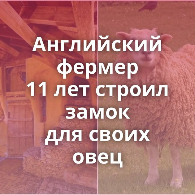 Английский фермер 11 лет строил замок для своих овец