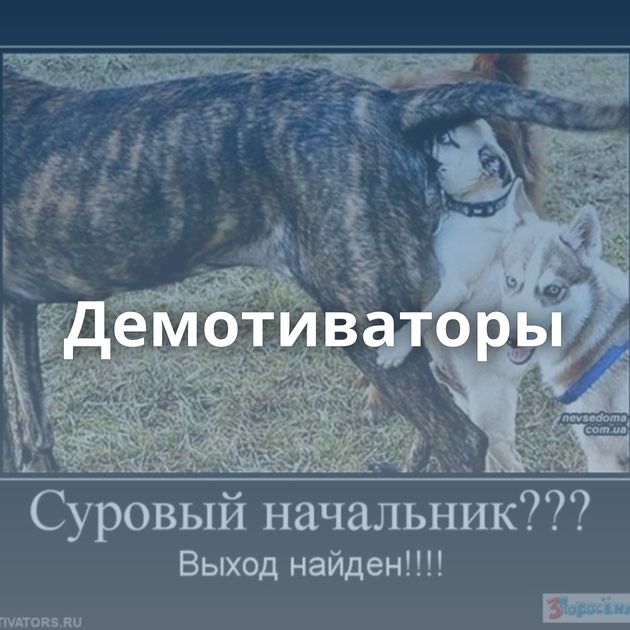 Демотиваторы