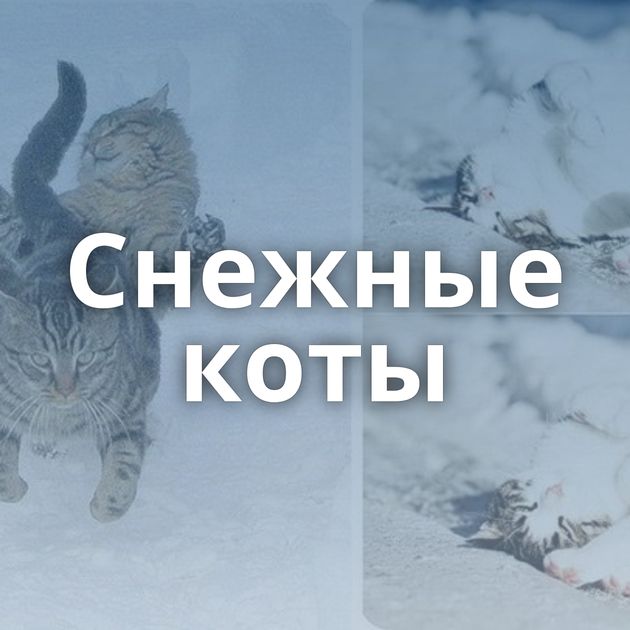 Снежные коты