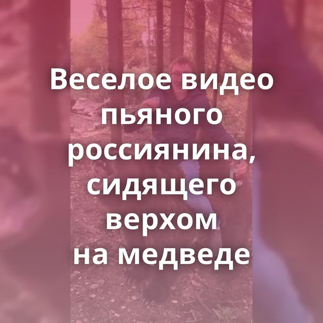 Веселое видео пьяного россиянина, сидящего верхом на медведе