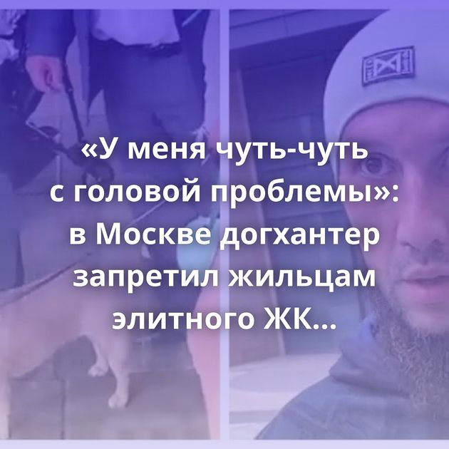«У меня чуть-чуть с головой проблемы»: в Москве догхантер запретил жильцам элитного ЖК выгуливать собак…