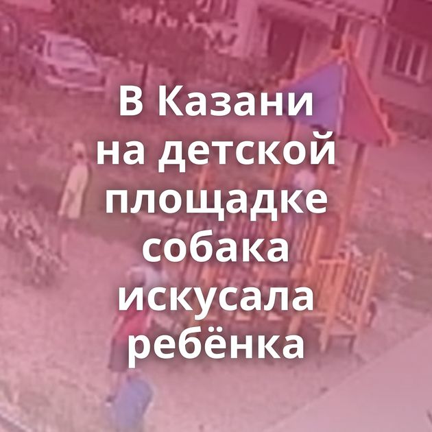 В Казани на детской площадке собака искусала ребёнка