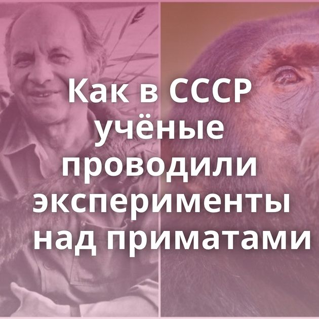Как в СССР учёные проводили эксперименты над приматами
