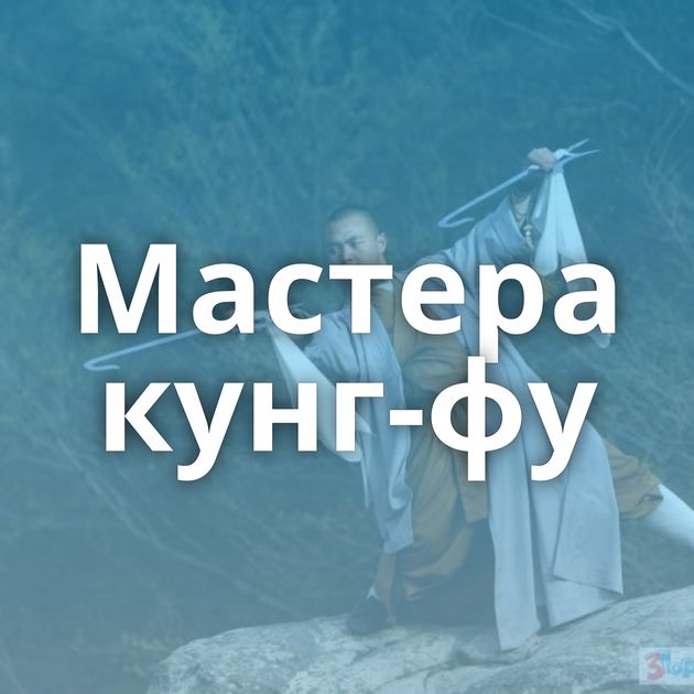 Мастера кунг-фу