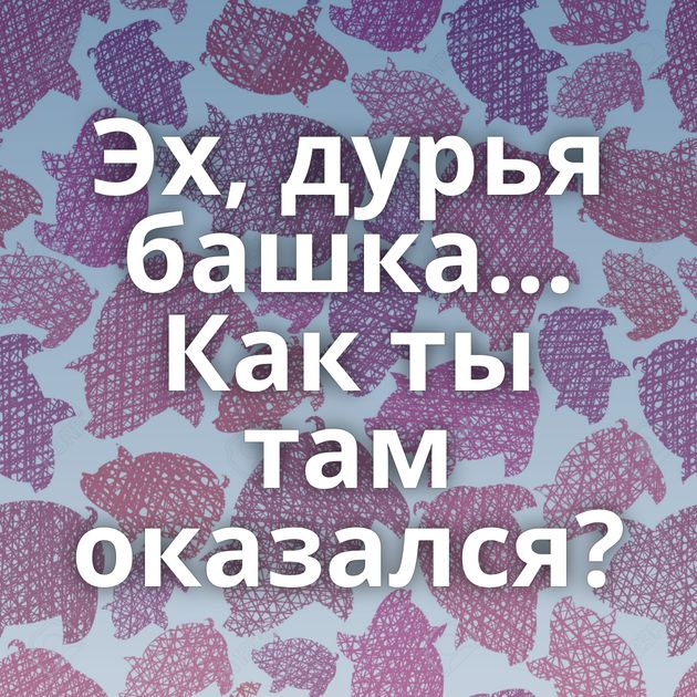 Эх, дурья башка... Как ты там оказался?