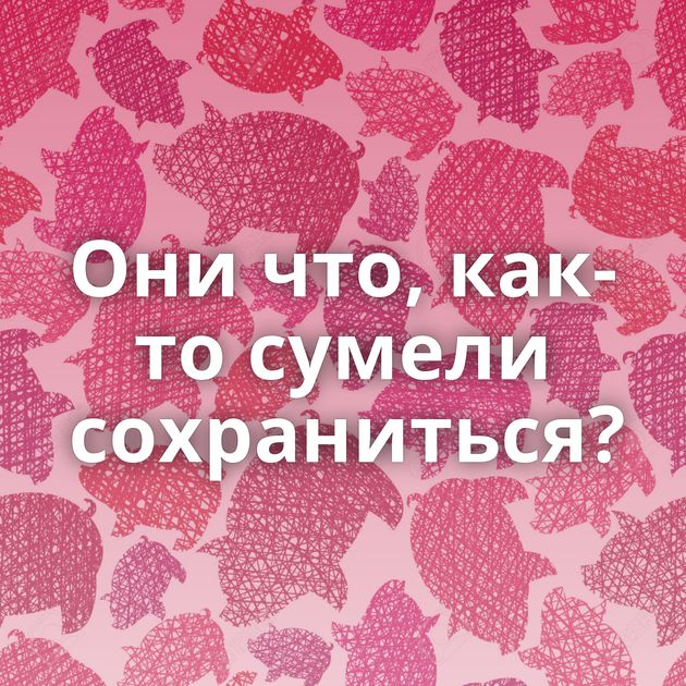 Они что, как-то сумели сохраниться?