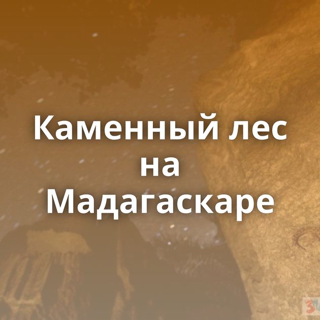 Каменный лес на Мадагаскаре