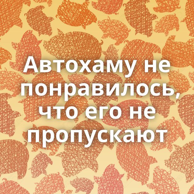 Автохаму не понравилось, что его не пропускают